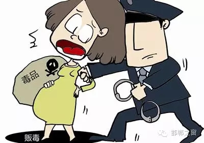 2016年初，涉縣警方查獲一起涉毒案件，鑒于該案涉案人員多、毒品交易量大，涉縣警方立即將案情上報，被公安部確立為“目標-2016-314”號毒品案件。涉縣警方成立專案組，經(jīng)過多方追查，先后抓獲團伙人員13名，繳獲毒品5349克，并查明上線“濮姐”的真實身份為陳某。